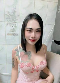 Aoffy New VIP 🇹🇭 - Transsexual escort in Fujairah Photo 12 of 12
