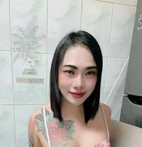 Aoffy New VIP 🇹🇭 - Transsexual escort in Fujairah