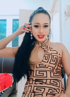 Aom. Am - Transsexual escort in Muscat Photo 4 of 5