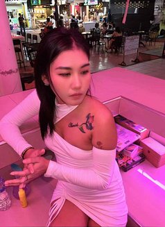 Aom - escort in Pattaya Photo 4 of 4