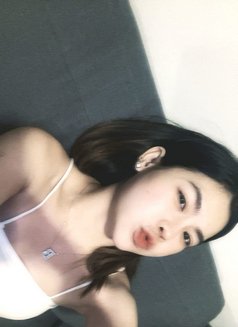 Aomsin - escort in Pattaya Photo 1 of 6