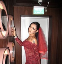 Aphina Top Horny - Acompañantes transexual in Bangkok Photo 18 of 18
