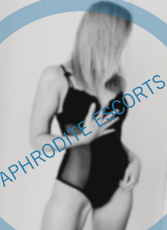 Aphrodite Escorts - escort in Cardiff Photo 1 of 1