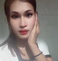 APHRODITE - Acompañantes transexual in Pune