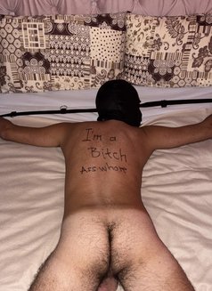 Apple HARD FUCKER & THICK Cock - Acompañantes transexual in Dubai Photo 27 of 27