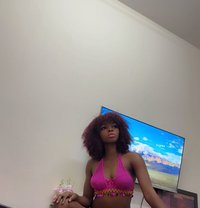 Apple mira - escort in Doha