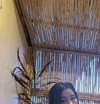 Apple - escort in Phuket