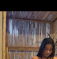Ava - escort in Phuket