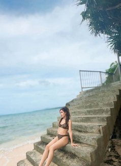 April Deep throat 🫦(last day) - escort in Okinawa Island Photo 4 of 10