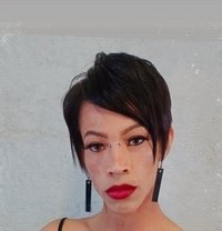 April October - Transsexual escort in Cape Town