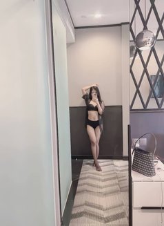 Aqeela Petite, Telegram : @aqilaclarista - escort in Singapore Photo 5 of 6