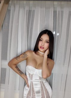 Ara Belle - Acompañantes transexual in Bangkok Photo 1 of 17