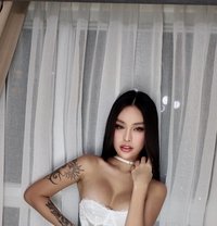 Ara Belle - Transsexual escort in Bangkok