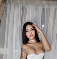 Ara Belle - Transsexual escort in Bangkok