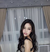Ara Belle - Acompañantes transexual in Kuala Lumpur