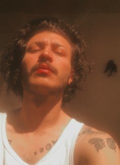 Araam - Masajista in Beirut Photo 8 of 8