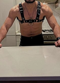 Arab Couple - Male escort in Dubai Photo 1 of 6