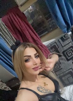 Arab Escort - escort in Erbil Photo 10 of 17