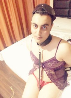 Arab Femboy سالب بنوتي - Transsexual escort in Amman Photo 1 of 2