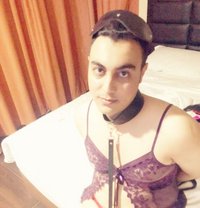 Arab Femboy سالب بنوتي - Acompañantes transexual in Amman