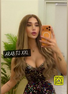 ARAB PRINCESS ANGEL 20 Cm (عمتك غرام ) - Acompañantes transexual in İstanbul Photo 30 of 30