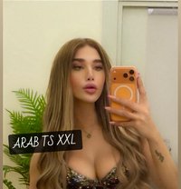 ARAB PRINCESS ANGEL 20 Cm (عمتك غرام ) - Transsexual escort in İstanbul Photo 30 of 30