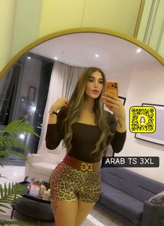ARAB PRINCESS ANGEL 20 Cm (عمتك غرام ) - Transsexual escort in İstanbul Photo 28 of 30