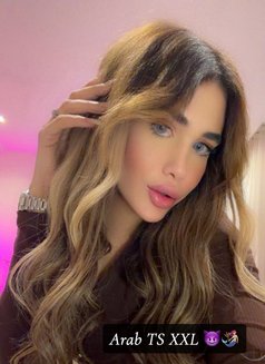 ARAB PRINCESS ANGEL 20 CM (عمتك غرام ) - Transsexual escort in İstanbul Photo 26 of 30