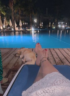Arab Queen - Dominadora in Cairo Photo 2 of 18