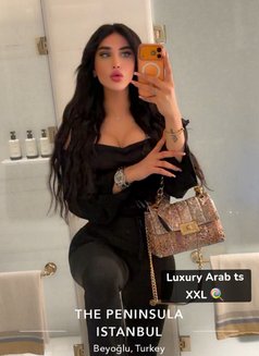 غرام Arab Sex Doll 20 (cm) - Transsexual escort in İstanbul Photo 28 of 28