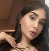 غرام 20 CM SEX DOLL عربيه Misstress XL - Acompañantes transexual in Tunis