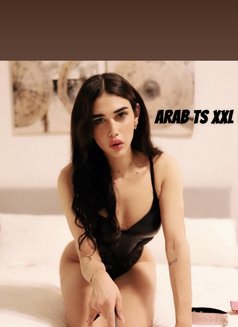 Arabian Angel XXL عربيه - Acompañantes transexual in İstanbul Photo 9 of 10