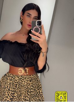 Arabian Angel XXL عربيه - Acompañantes transexual in İstanbul Photo 10 of 10