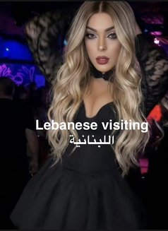 Arabic Cindy Hard Top VISITING - Transsexual escort in İstanbul Photo 16 of 16