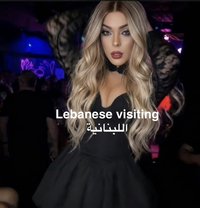 Arabic Cindy Hard Top VISITING - Transsexual escort in İstanbul Photo 16 of 16