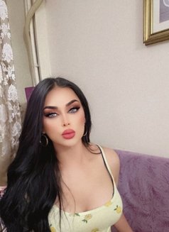 arabic haneen' حنين شيميل اسطنبول عربيه - Transsexual escort in İstanbul Photo 21 of 22