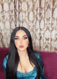 arabic haneen' حنين شيميل اسطنبول عربيه - Transsexual escort in İstanbul Photo 21 of 21