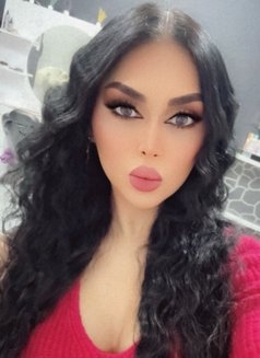 arabic haneen' حنين شيميل اسطنبول عربيه - Acompañantes transexual in İstanbul Photo 22 of 22