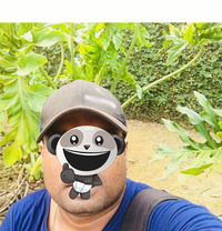 Arash - Male escort in Colombo
