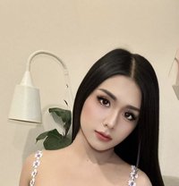 Araya - Transsexual escort in Abu Dhabi