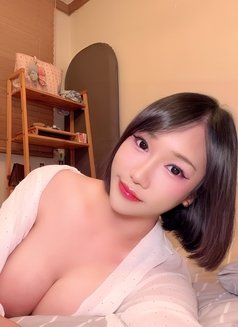 Araya Vvip Top - Transsexual escort in Seoul Photo 7 of 13