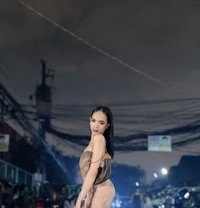 |Arcalicius| - Agencia de acompañantes transexuales in Manila