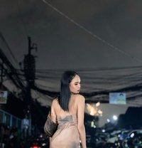 |Arcalicius| - Agencia de acompañantes transexuales in Manila