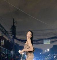 |Arcalicius| - Agencia de acompañantes transexuales in Manila