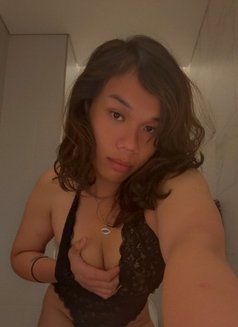 Arcee Polene - Acompañantes transexual in Dubai Photo 1 of 7