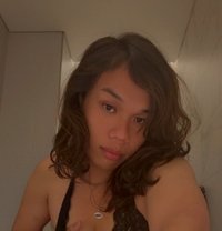 Arcee Polene - Acompañantes transexual in Dubai