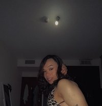 Arcee Polene - Transsexual escort in Dubai