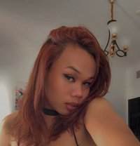 Arcee Polene - Transsexual escort in Dubai