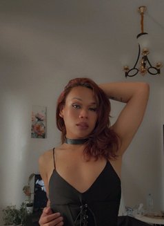 Arcee Polene - Acompañantes transexual in Dubai Photo 8 of 16