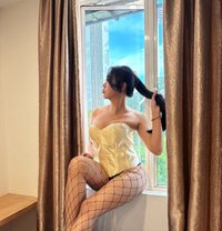 Ardiana Voxy - Acompañantes transexual in Kuala Lumpur